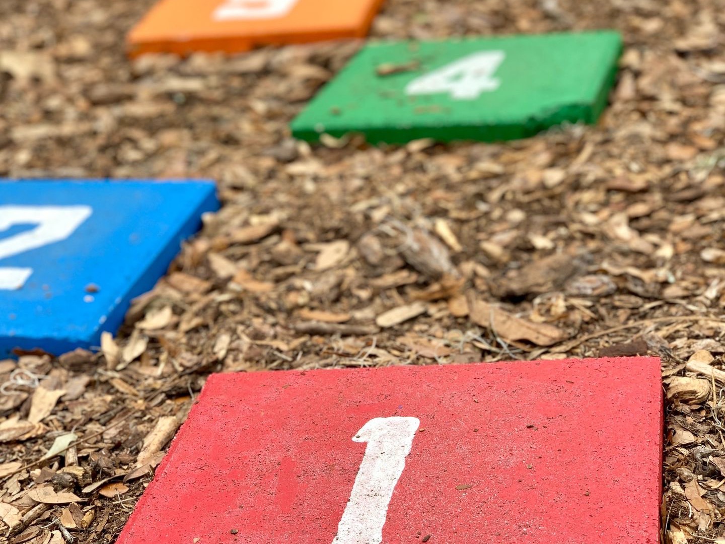 multicolored number boards